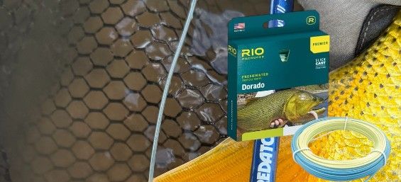 Lineas Dorados